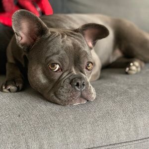 Meet your Posher, Paula